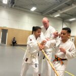 Stage training onderleiding van Erik & Jelle Knoop Thema Kaibo ( korte stok )
